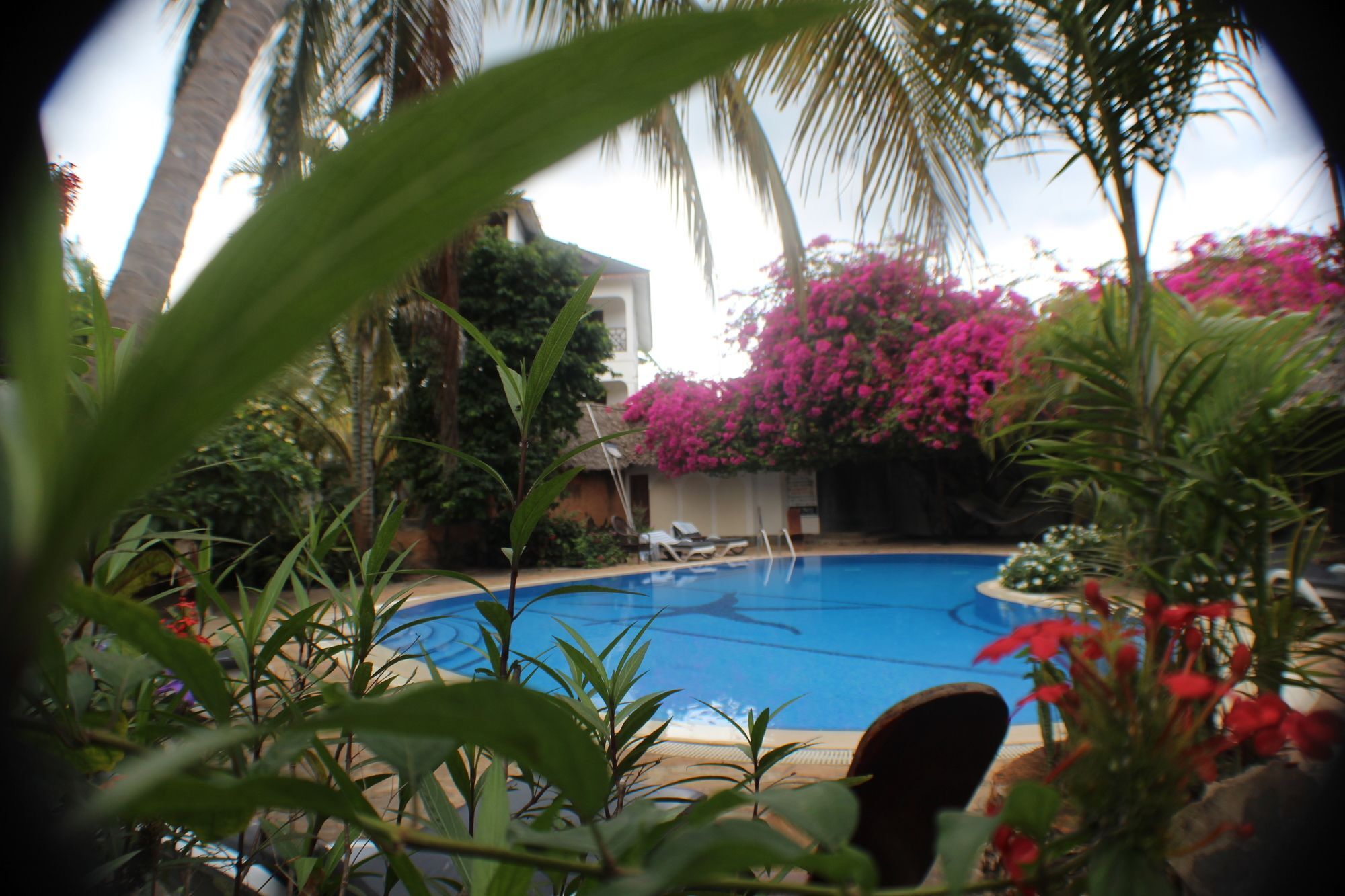 Langi Langi Beach Bungalows Nungwi Luaran gambar